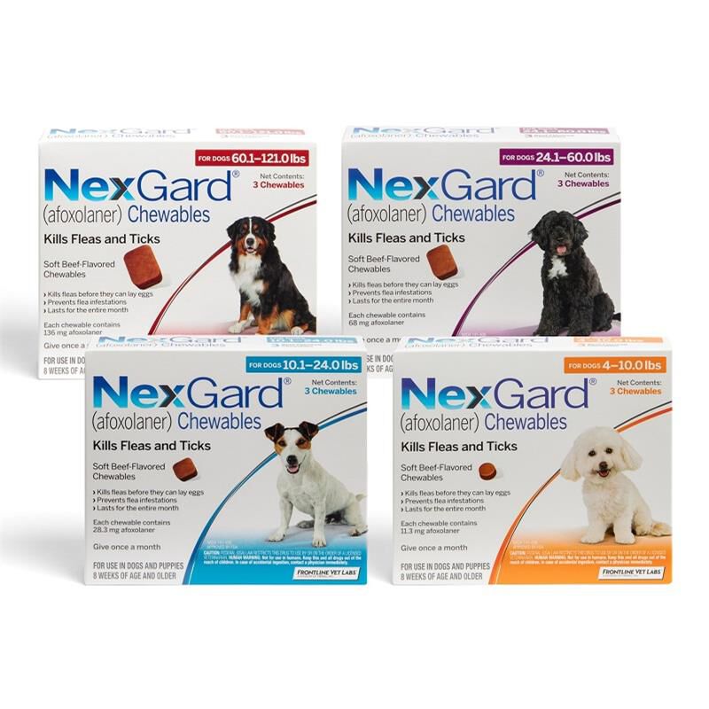 Nexgard for Dogs and Puppies Free 2 Day Shipping AKCPetRx