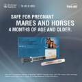 Equi-Jec 6 Vaccine for Horses, 1 pre-filled syringe