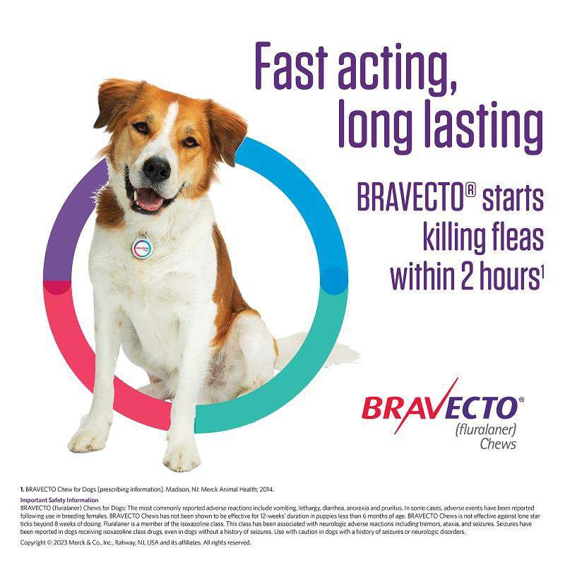 Bravecto Chews, Free 2 Day Shipping
