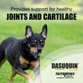 Dasuquin with MSM Soft Chews