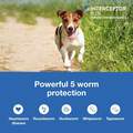 Interceptor Plus Chewable Tablets for Dogs