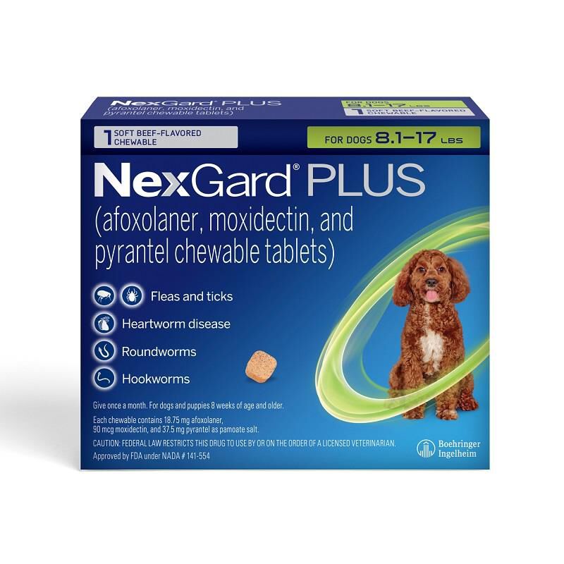 Chewy nexgard for dogs best sale