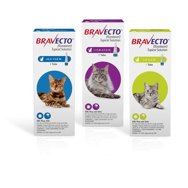 Bravecto topical solution for cats hotsell