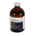 Phenylbutazone Injection 200 mg/ml, 100 ml