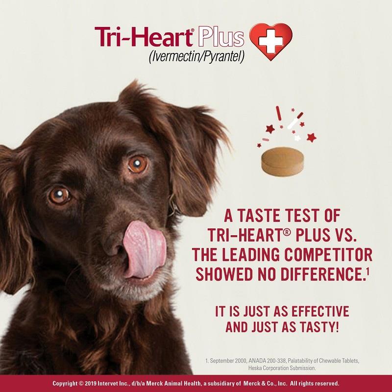 Tri Heart Plus for Dogs and Puppies