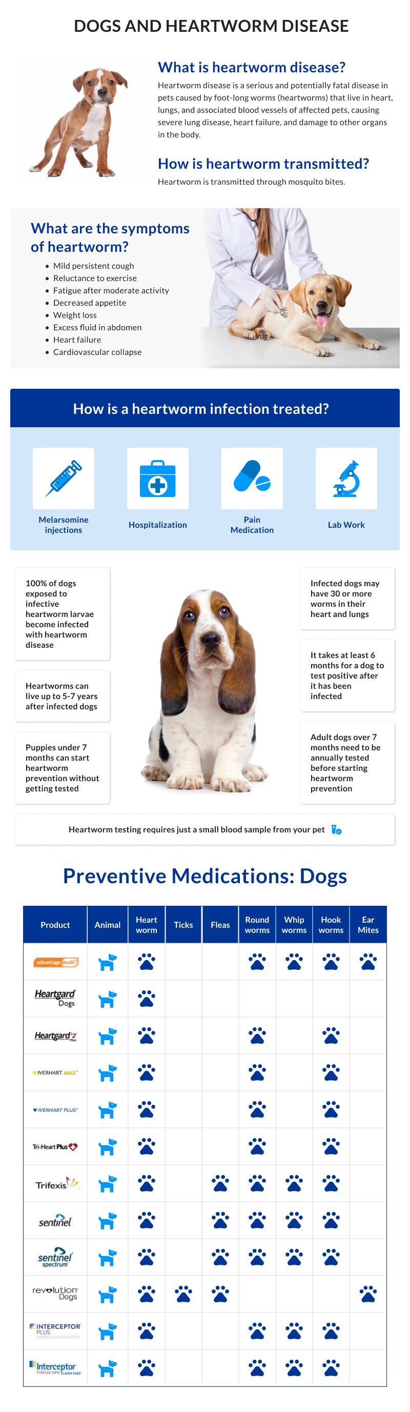 Dog Heartworm Chart